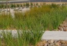 Piney Rangelandscaping-water-management-and-drainage-12.jpg; ?>